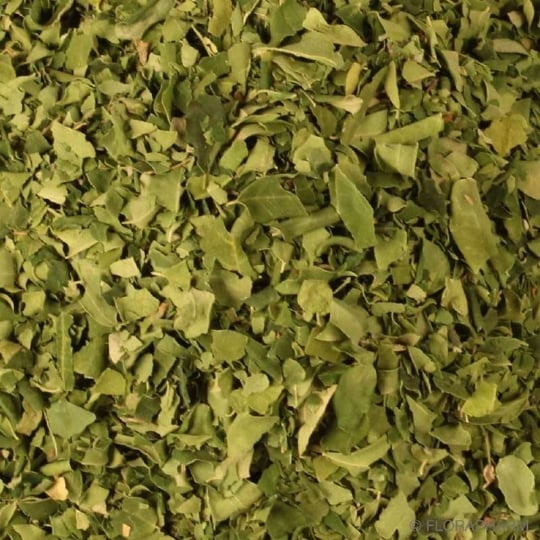 Moringa Feuilles Bio En Vrac 10 Kg VRACBIO