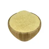 Celeri Rave En Poudre Bio En Vrac 500g VRACBIO
