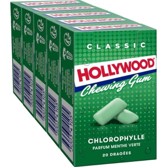 Chewing gum regular spearmint HOLLYWOOD