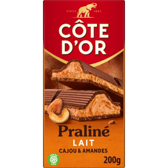 Tablette de Chocolat Lait Praliné Cajou Amandes COTE D'OR