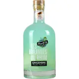 Rhum gingembre menthe glaciale BREIZ'ILE