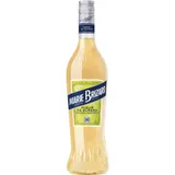 Liqueur Fleur de Sureau MARIE BRIZARD
