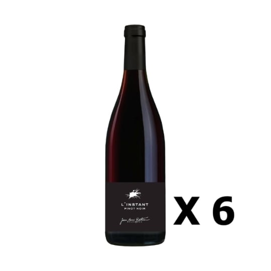 Lot 6x L'instant Pinot Noir - Vignobles Berthier - Rouge 75cl - Loire - Vin De France -  Agriculture Raisonnée VIGNOBLES BERTHIER
