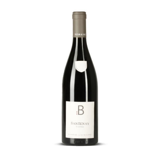 Vin Rouge Santenay Charmes DOMAINE JULIE BELLAND