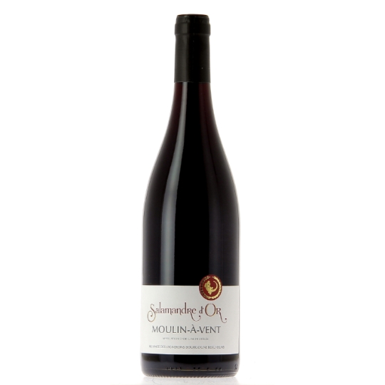 Vin Rouge AOP Moulin-à-Vent SALAMANDRE D'OR