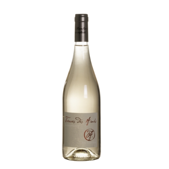 Vin Blanc Languedoc-Roussillon AOP TERRES DES AINES