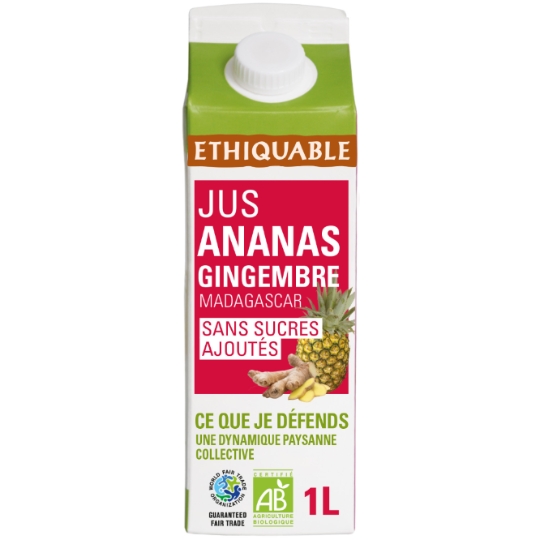 Jus de Fruits Ananas Gingembre Bio ETHIQUABLE