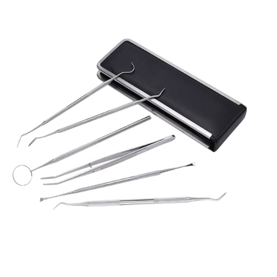 Kit D'hygiène Dentaire Professionnelle - 6 Pièces Avec Étui INF