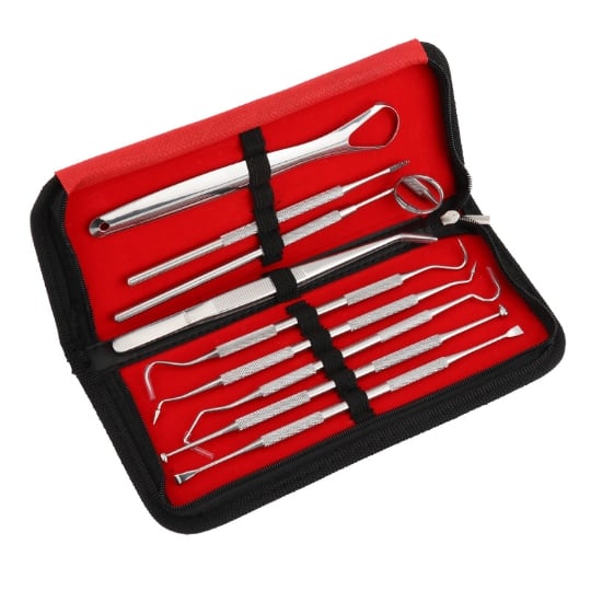 Outils De Soins Dentaires 9 Pièces Avec Étui Silver INF
