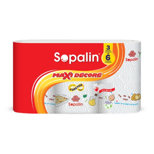 Essuie-Tout Décoré SOPALIN