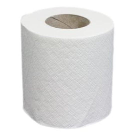 Carton De 48 Rouleaux De Papier Hygiéniques Blancs À 2 Plis 200 Feuilles 100 X 98mm Global Net 670290
