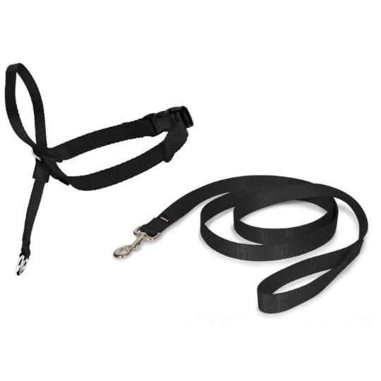 Petsafe Easy Walk Chien Licol Noir - Taille L PETSAFE