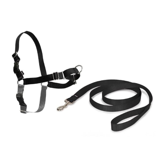 Petsafe Easy Walk Harnais Et Laisse Noir - Taille M PETSAFE