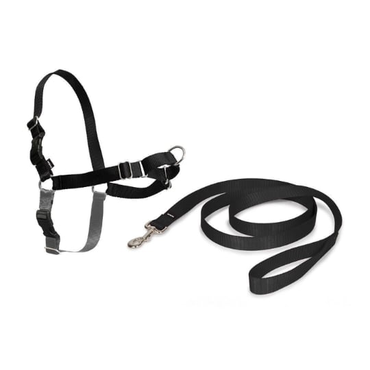 Petsafe Easy Walk Harnais Et Laisse Noir - Taille L PETSAFE