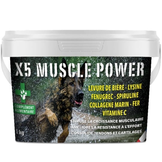 Complement Alimentaire X5 Muscle Power – 500gr – Poudre Soutien Et Recuperation Musculaire – France Croquettes FRANCE CROQUETTES