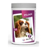 Pet-phos Canin Special Pelage - 450 Comprimés PET-PHOS