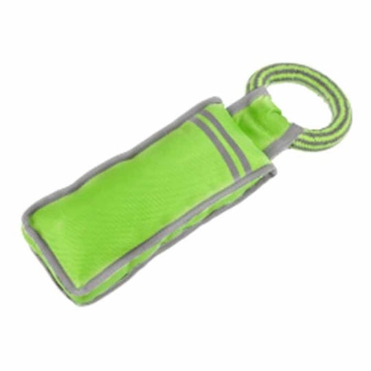 Jouet Pour Chien "oxford Fitness" 32cm Vert PARIS PRIX