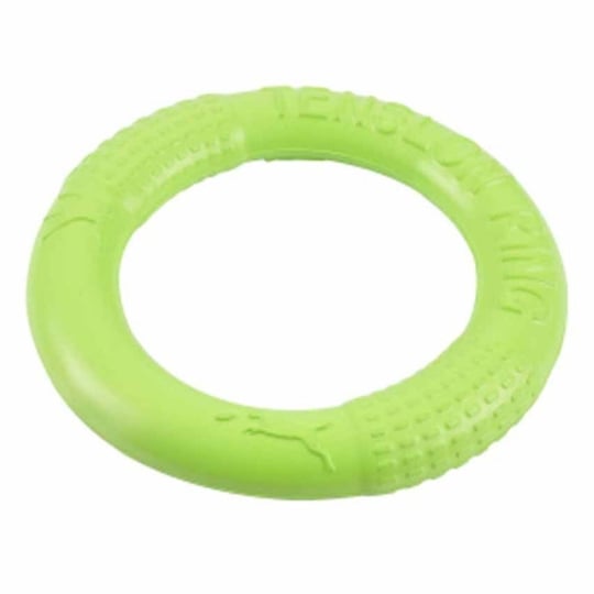 Jouet Pour Chien "anneau Eva Fitness" 17cm Vert PARIS PRIX