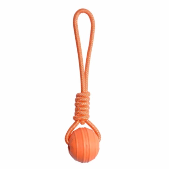 Jouet Pour Chien "balle Fitness Eva" 33cm Orange PARIS PRIX