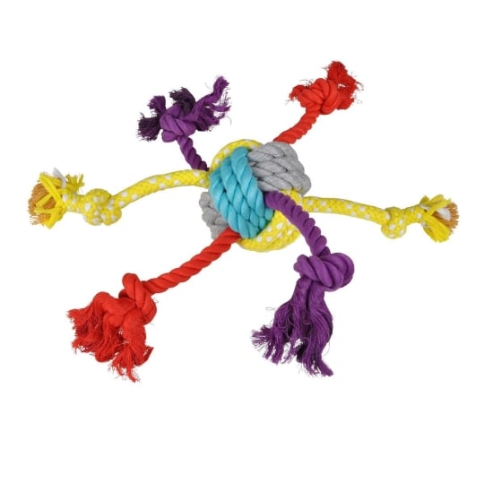 Jouet Pour Chien "corde & 6 Nœuds" 42cm Multicolore PARIS PRIX