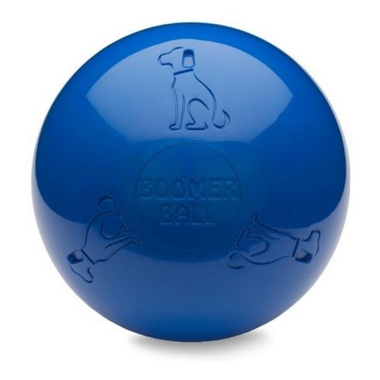 Jouet Pour Chien Company Of Animals Boomer Bleu (250mm) COMPANY OF ANIMALS