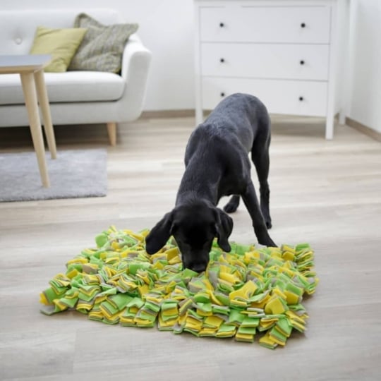 Tapis Renifleur Pour Chien 70x50 Cm Kerbl KERBL