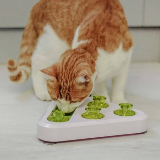 Jouet D'activité Pour Chat/chien Trea Ferplast FERPLAST
