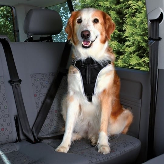 Trixie Harnais Voiture Dog Protect - Taille M TRIXIE