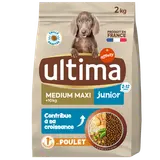 Croquettes pour Chien Medium Junior Maxi ULTIMA 2Kg