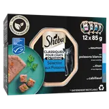 Barquettes chat Sélection aux poissons en terrine SHEBA - 12x85g