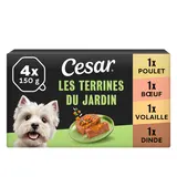 Pâtée pour chien poulet, boeuf, volaille et dinde Les Terrines Du Jardin CESAR - 4x150g