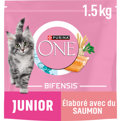 Croquettes pour chat junior 1/12 mois au saumon PURINA ONE - 1,5kg