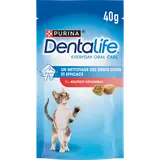 Friandises pour chat au Saumon DENTALIFE - 40g