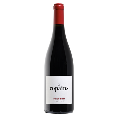 Vin de France VSIG rouge Les Copains Pinot Noir 75cl