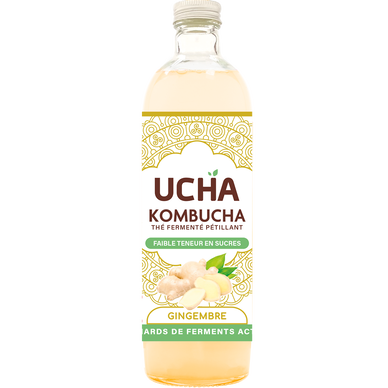 Thé fermenté pétillant Gingembre energy KOMBUCHA, bouteille 75cl