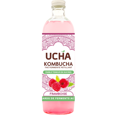 Thé fermenté pétillant framboise vivify KOMBUCHA, bouteille 75cl