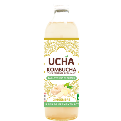 Thé fermenté pétillant Gingembre energy KOMBUCHA, bouteille 35cl