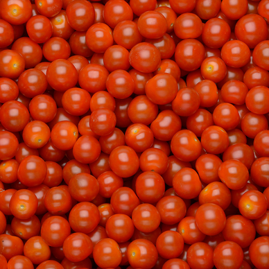 Tomate cerise allongée duo SAVEOL bio - Barquette 250g