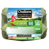 OEufs Bio  Plein air CHALLANS - x6