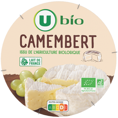Camembert au lait pasteurisé 21%MG - 250g