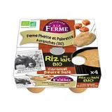 Riz au lt caramel beurre salé fermier bio FERME PEARD 4x125g