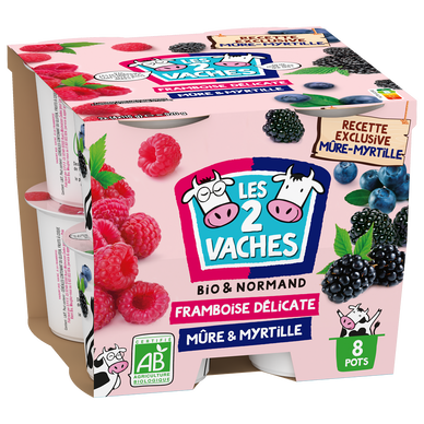 Yaourt brassé sucré aux fruits rouge bio LES 2 VACHES 8X115G