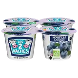 Yaourt aux fruits bio myrtille LES 2 VACHES - 4x115g