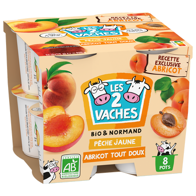 Yaourt brassé sucré aux fruits jaune bio LES 2 VACHES 8X115G