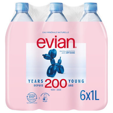 Eau minérale naturelle plate EVIAN - 6x1l