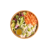Salade bistrot saumon, SOLEANE, 1 part, 350g