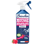 Mousse détartrante au vinaigre BRIOCHIN 750ml
