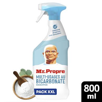 Spray entretien bicarbonate MR PROPRE 800mL