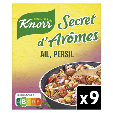 Bouillon secret d'arômes ail persil KNORR 9 tablettes 90g