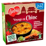 Soupe à la chinoise légumes et vermicelles LIEBIG, 2 x 30 cl